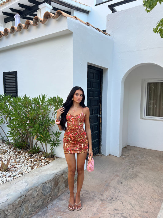 Kammy dress in brown